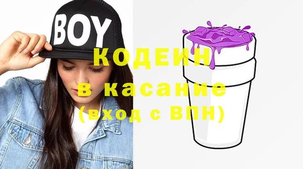 сатива Бронницы