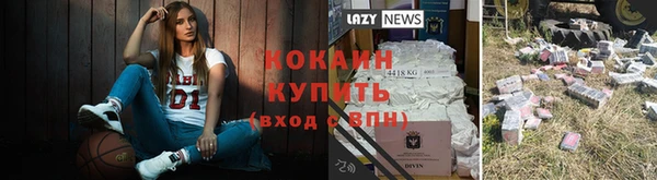 сатива Бронницы