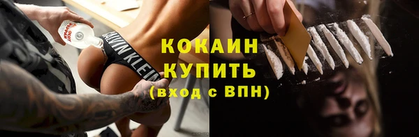 сатива Бронницы