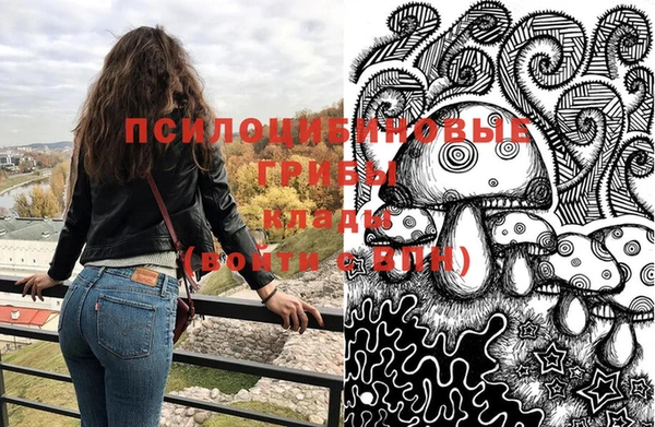 сатива Бронницы