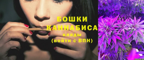 сатива Бронницы