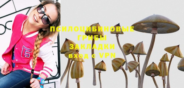 таблы Богородицк