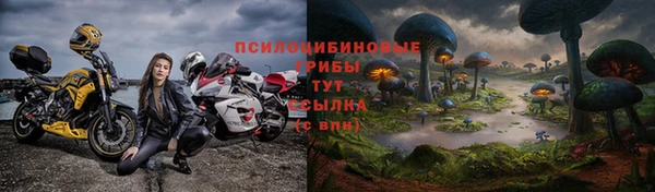 сатива Бронницы