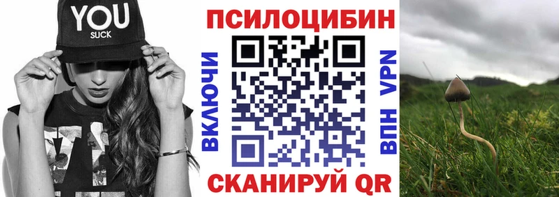 хочу наркоту  Альметьевск  Псилоцибиновые грибы мухоморы 